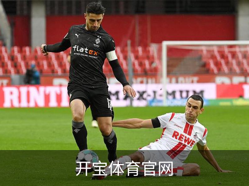 开宝体育官网概况